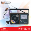 Է  IP-810(21)