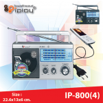 Է  IP-800(4)