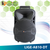 ⾧  LIGE-A810-DT